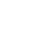 security-icon